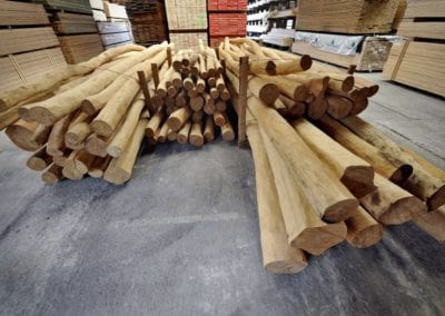 Robinienstämme in verschiedenen Durchmessern und Längen sofort verfügbar